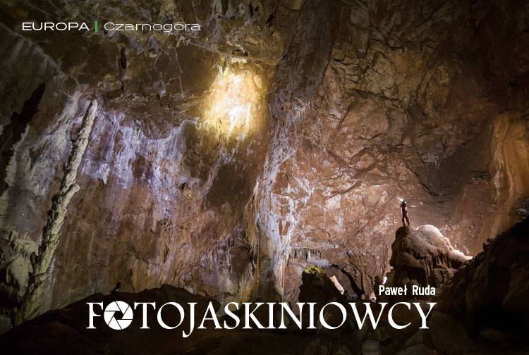 Losowy darmowy artykuł